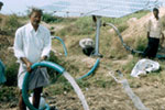 Water Pumping