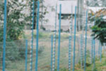 Fencing Security