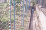 Fencing Chainlink