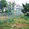Solar Agricul & Forest Fencing Systems