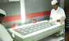 PV Modules & PV Systems