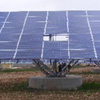 Evacuated Glass Tube technology